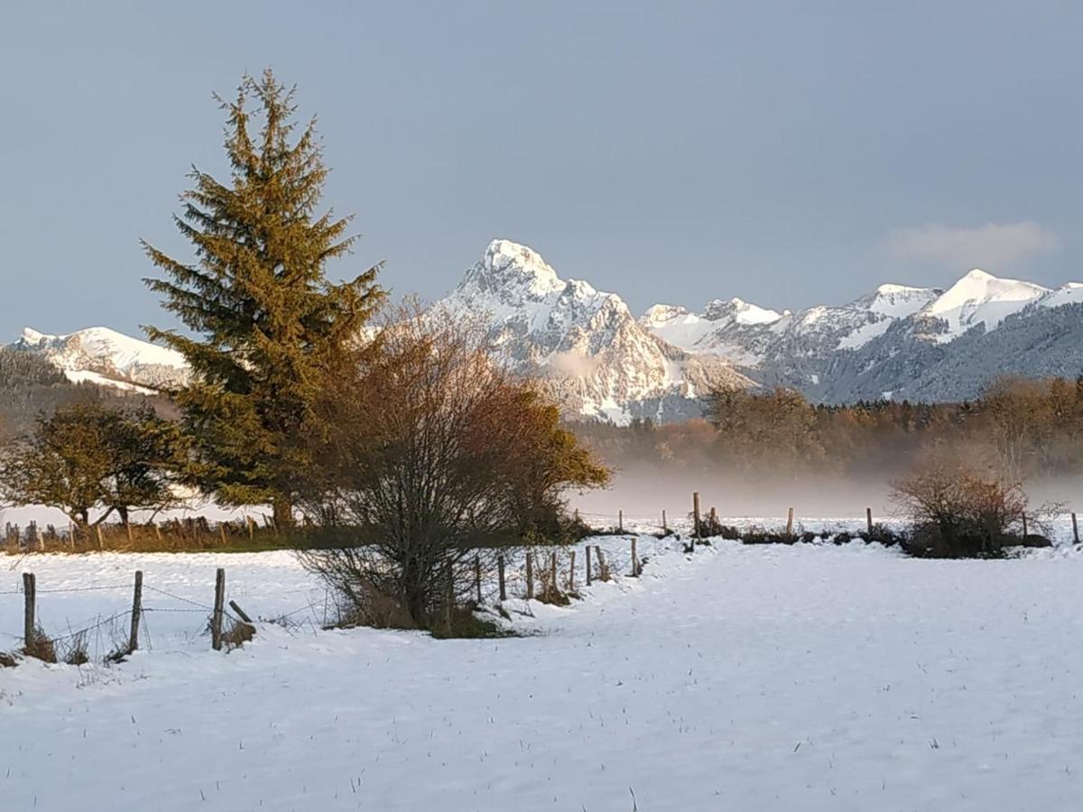 Maison D'Hotes Des Bassins D'Oche Saint-Paul-en-Chablais 외부 사진