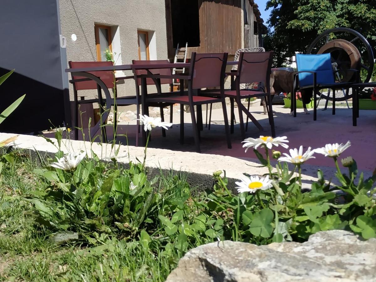 Maison D'Hotes Des Bassins D'Oche Saint-Paul-en-Chablais 외부 사진